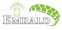 Шины для погрузчиков Emrald